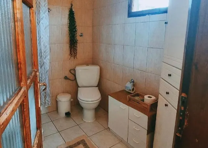 Sofia's House